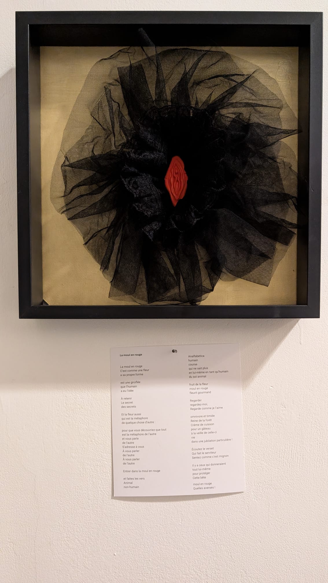 WhatsApp Image 2025-12-02 at 21.04.53 (1).jpeg